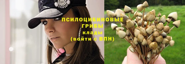 дживик Алексеевка
