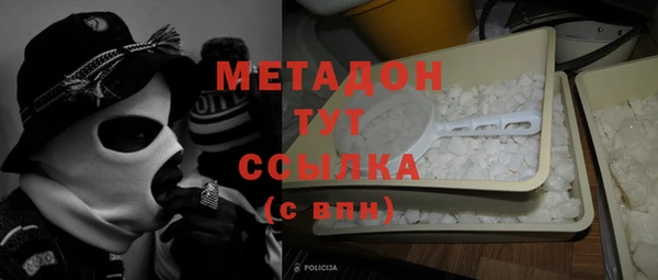 стаф Алзамай
