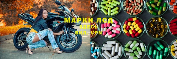 стаф Алзамай