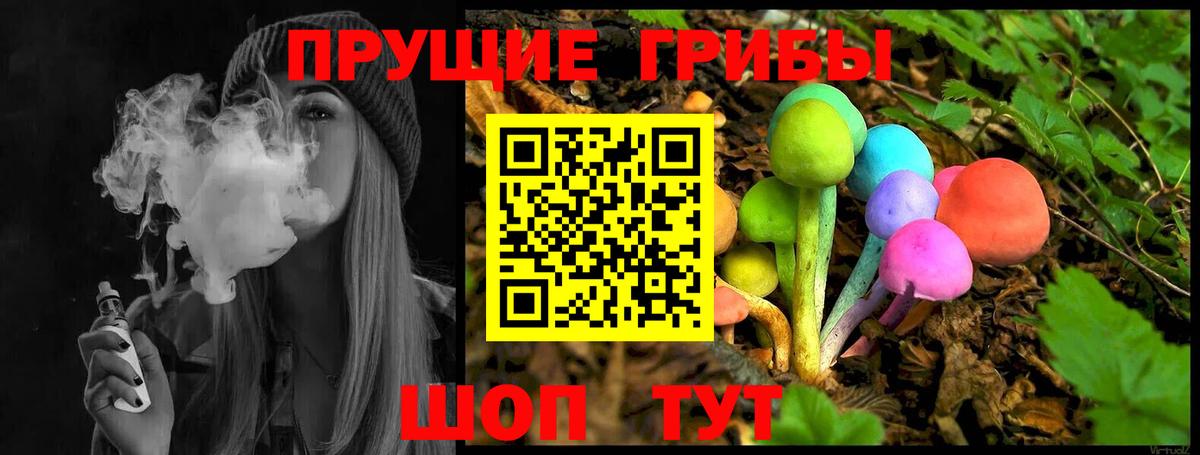 Галлюциногенные грибы Psilocybe Анжеро-Судженск